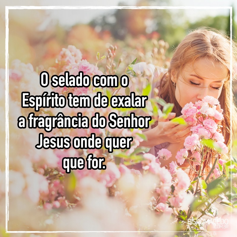 12032986_10153150209640108_7156637504385270058_n