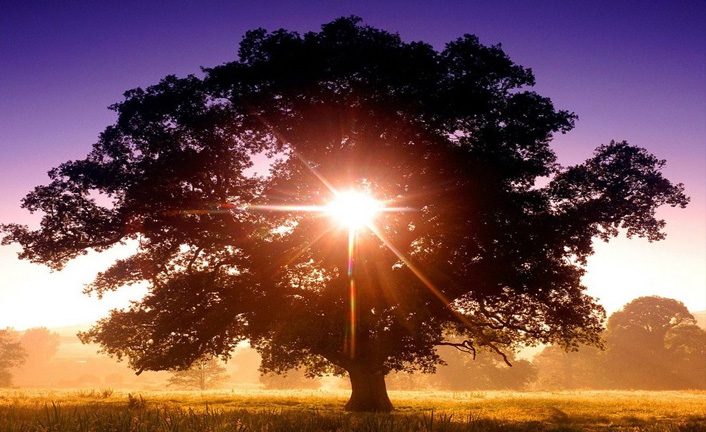 dest_bm0207-706×432