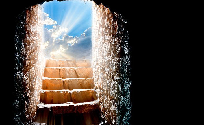 Imagem de capa - Mourir pour Naître