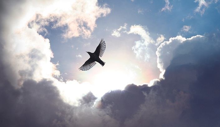 Imagem de capa - Plenitude do Espírito Santo