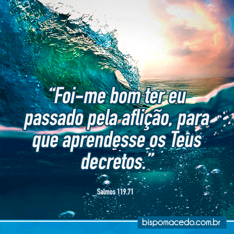 Imagem de capa - Imagens para compartilhar