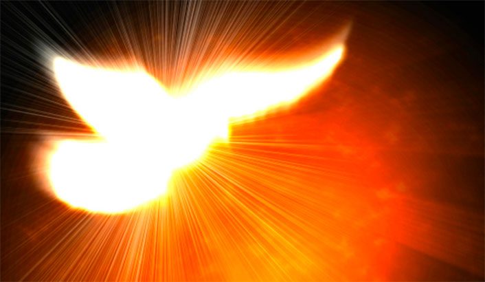 Imagem de capa - Action of the Holy Spirit