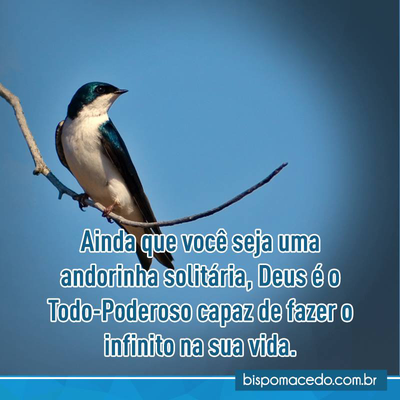 Pássaro sobre um galho