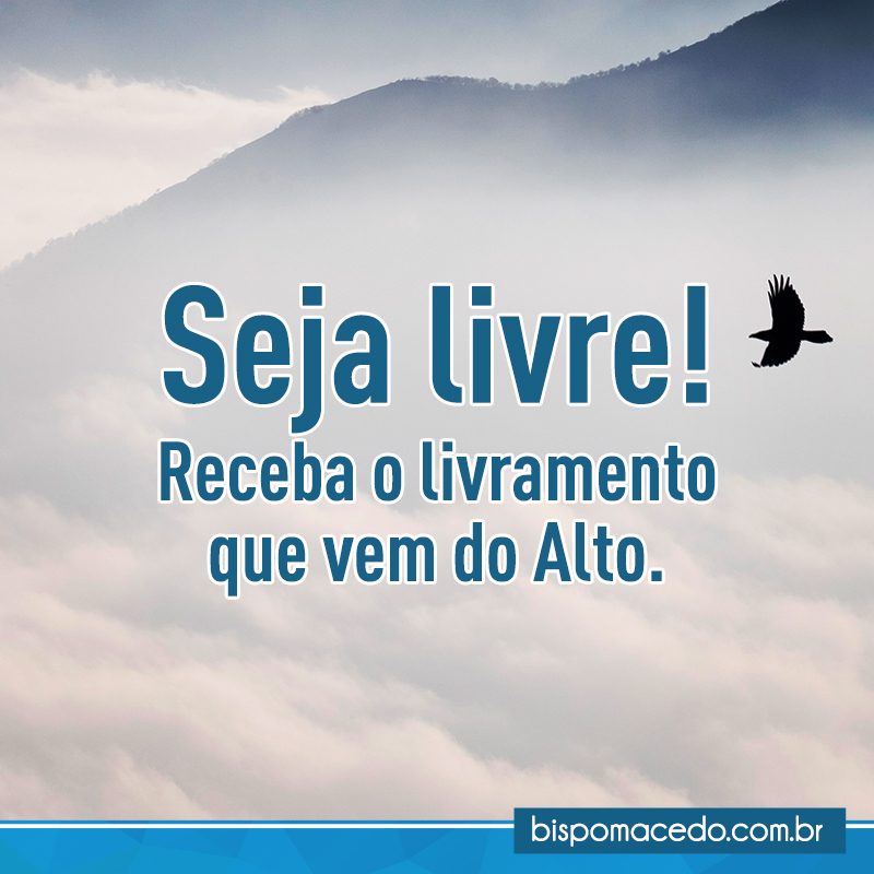 Pássaro voando sobre as nuvens