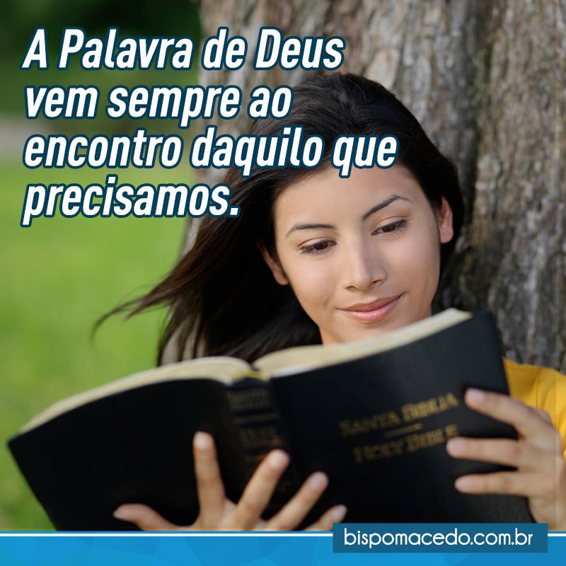 Mulher lendo a Bíblia encostada em uma árvore