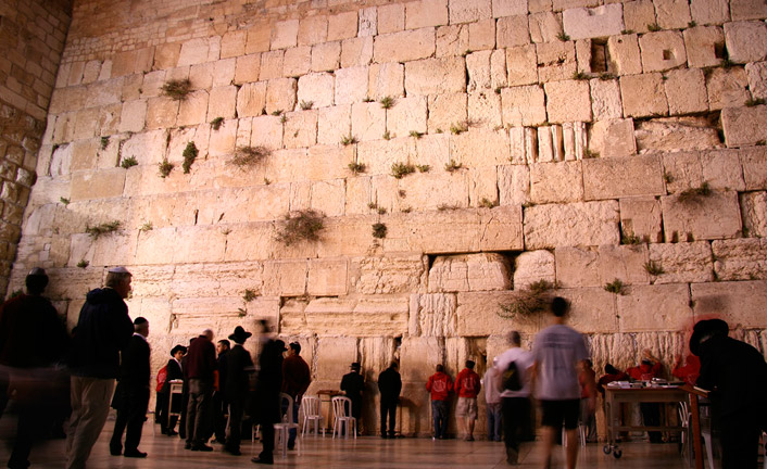 Imagem de capa - O Muro
