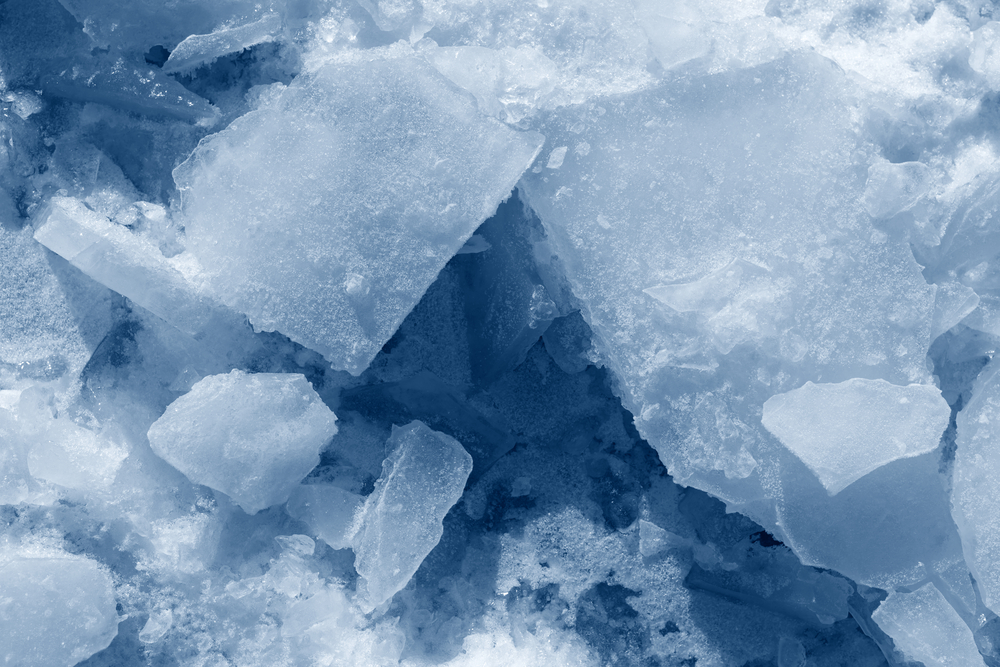 shutterstock_384469408