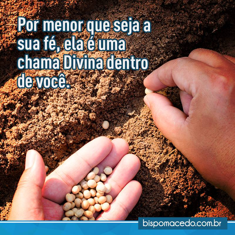 Mãos plantando sementes na terra