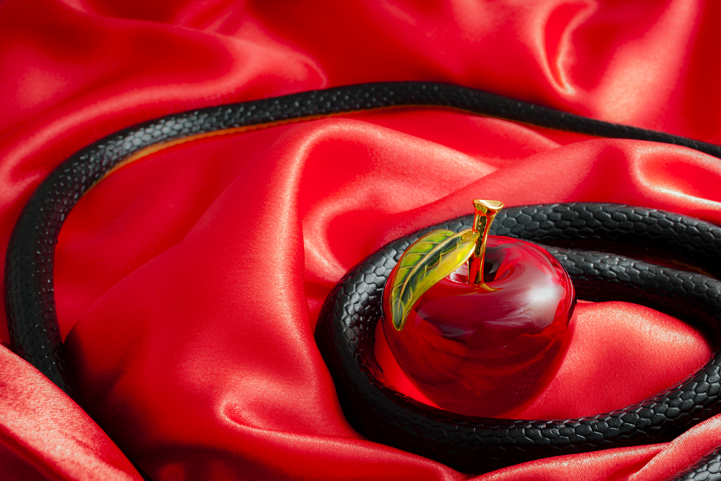 shutterstock_466429565