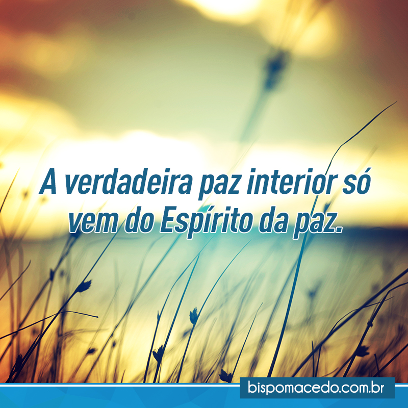 Sol sobre paisagem com ramos