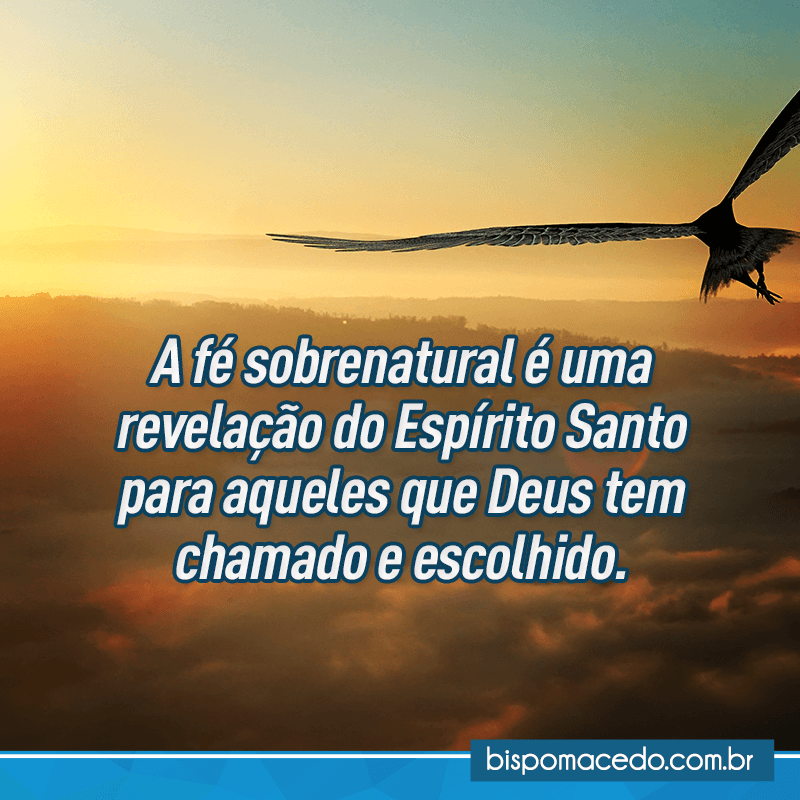 Pássaro voando no céu