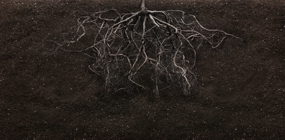 shutterstock_158850761