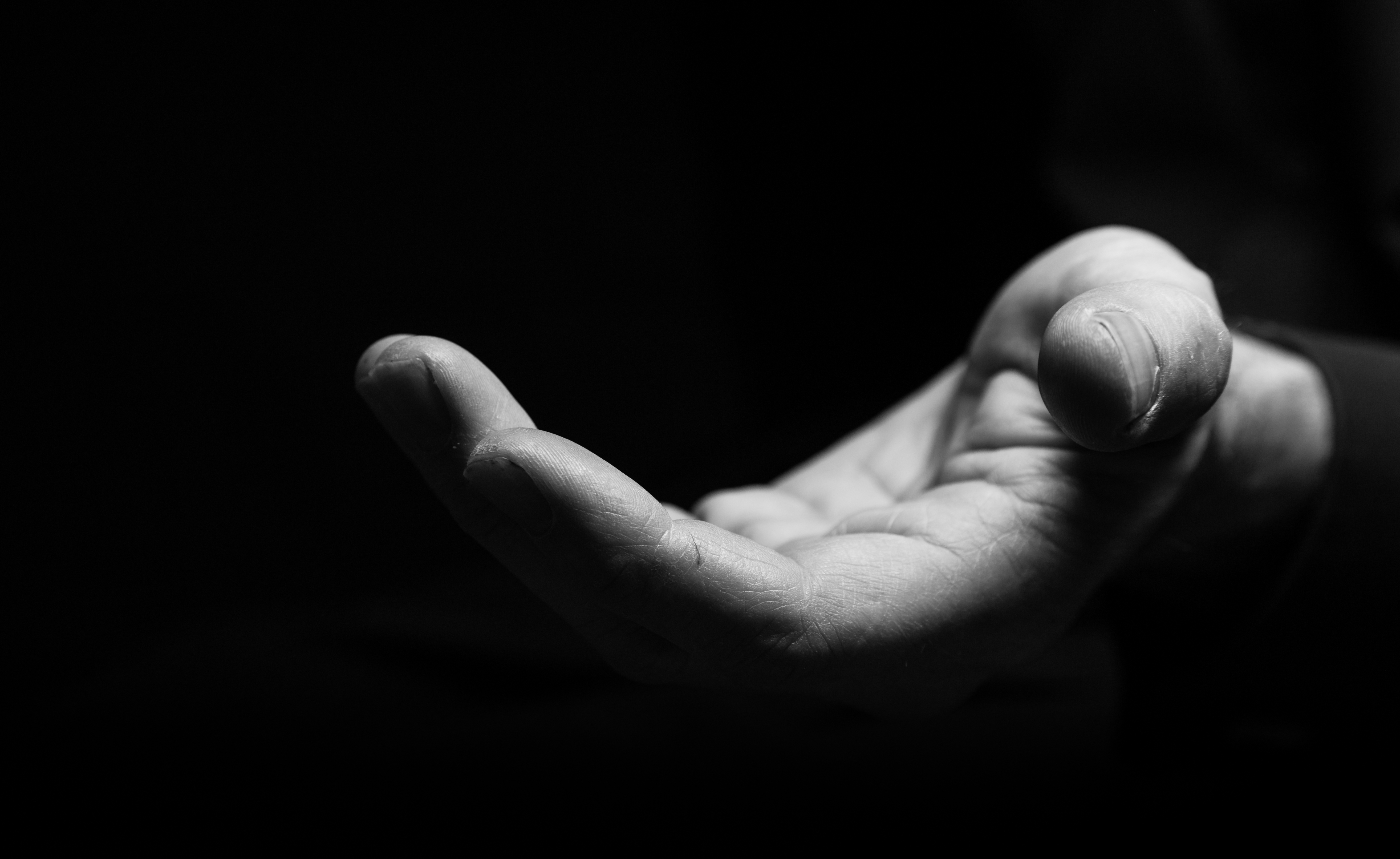 shutterstock_132156593