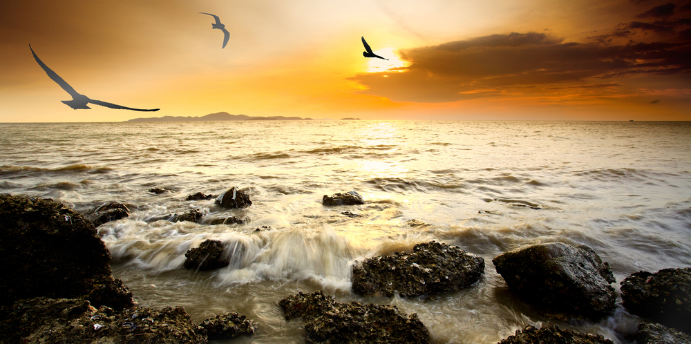 shutterstock_102508466