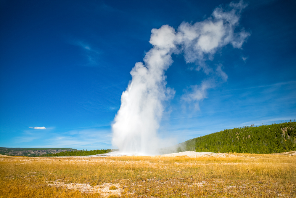 shutterstock_358961621