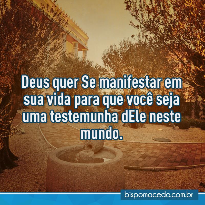 Paisagem do poço e do Jardim das Oliveiras no Templo de Salomão