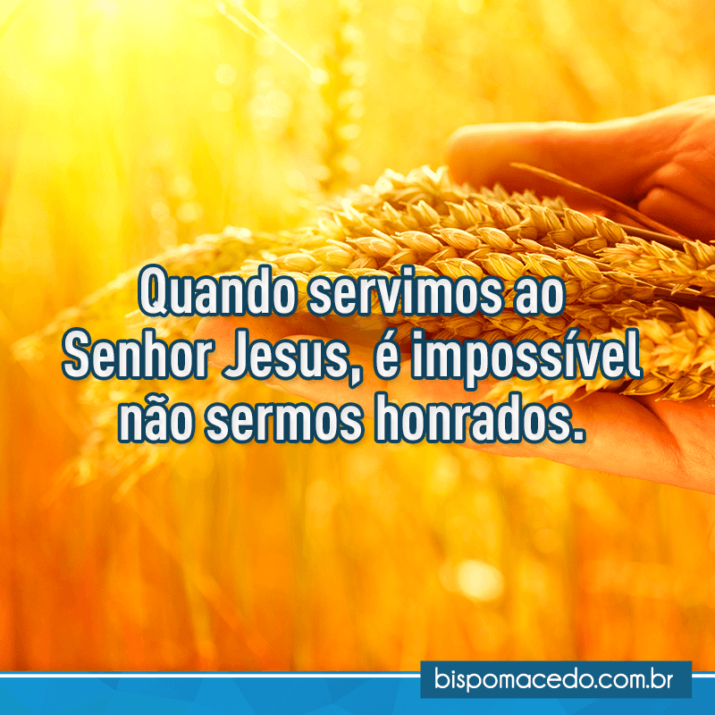 Mão segurando trigos