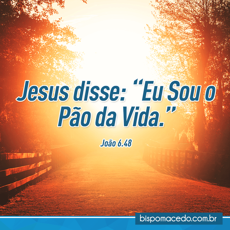 Rua iluminada entre árvores