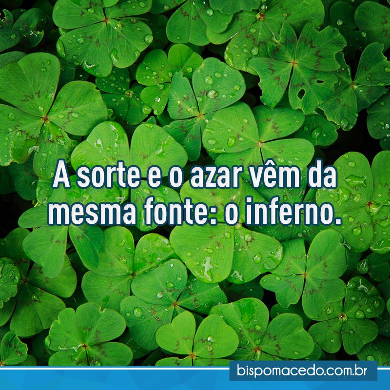 Vários trevos da cor verde