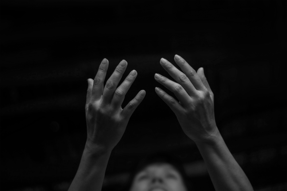 shutterstock_475333657