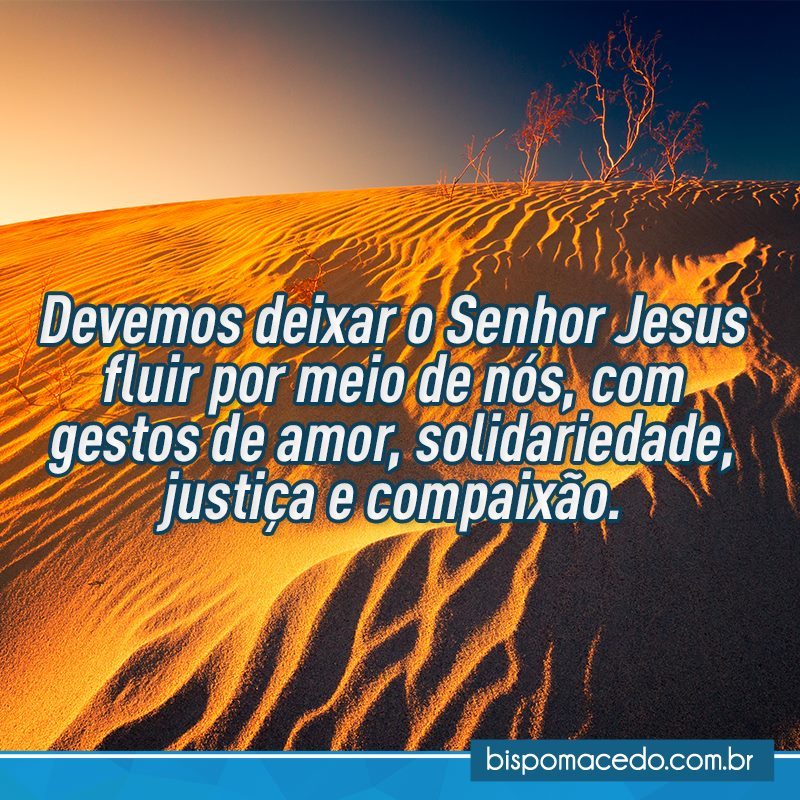 Dunas no deserto com galhos sobre elas