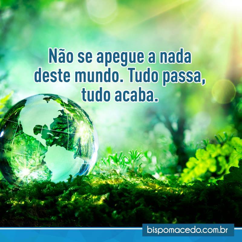 Globo terrestre de vidro no meio das plantas