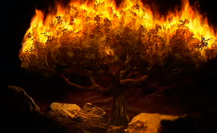 Imagem de capa - O fogo do Altar