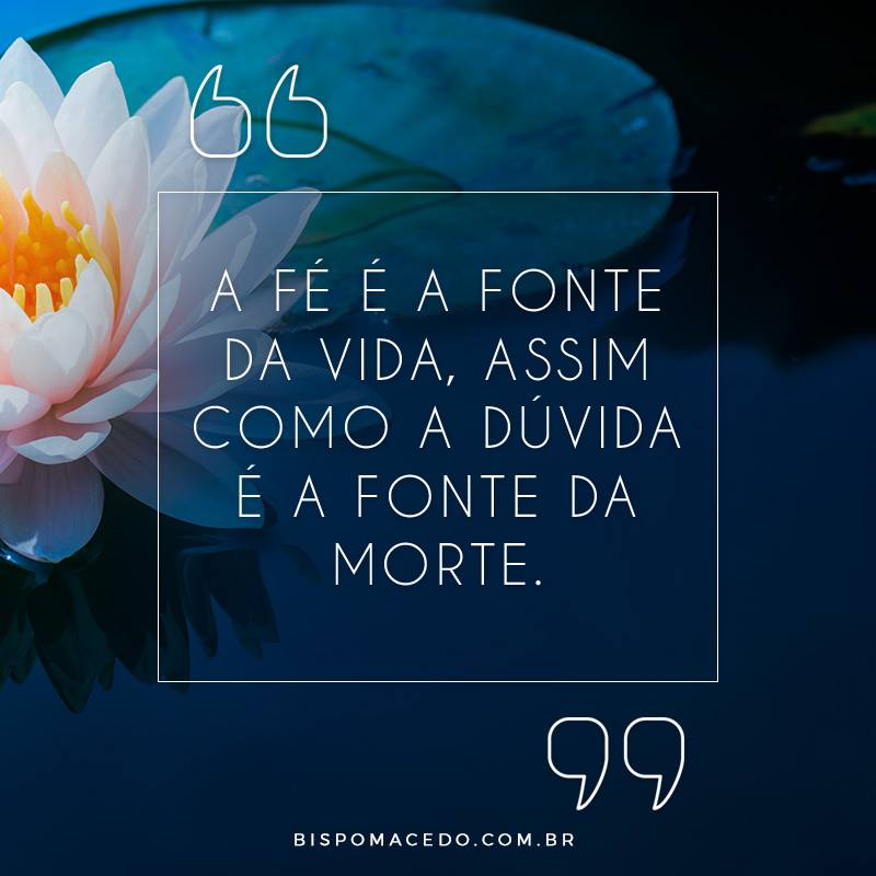 Flor de Vitória-Régia no lago