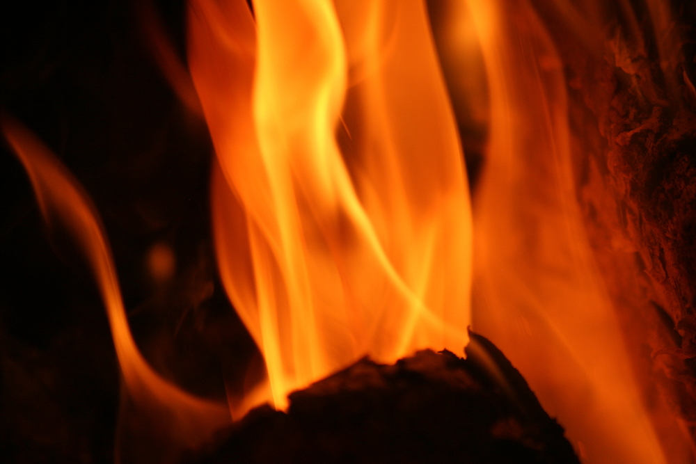 shutterstock_523897966