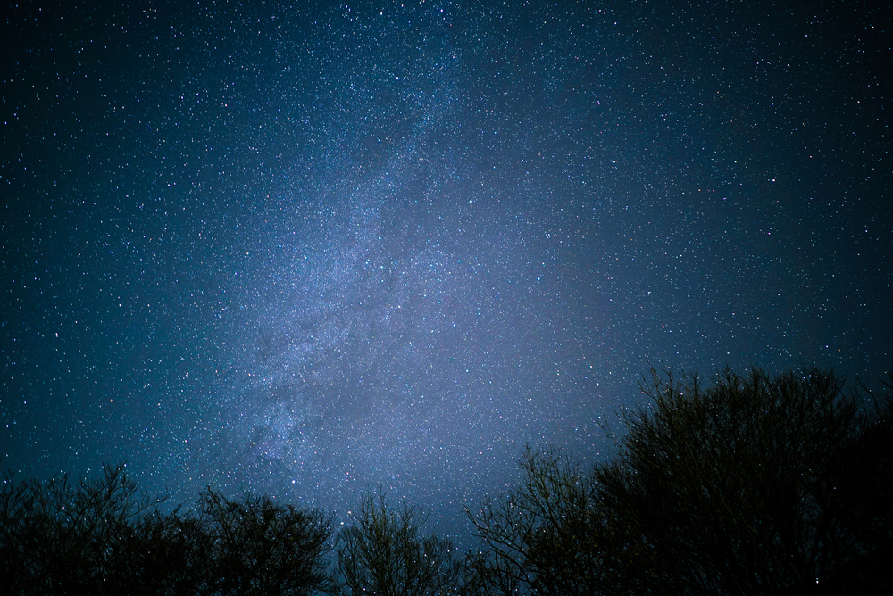 shutterstock_525678805