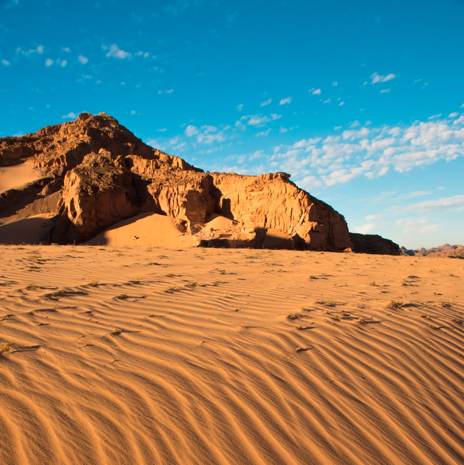 shutterstock_515450785