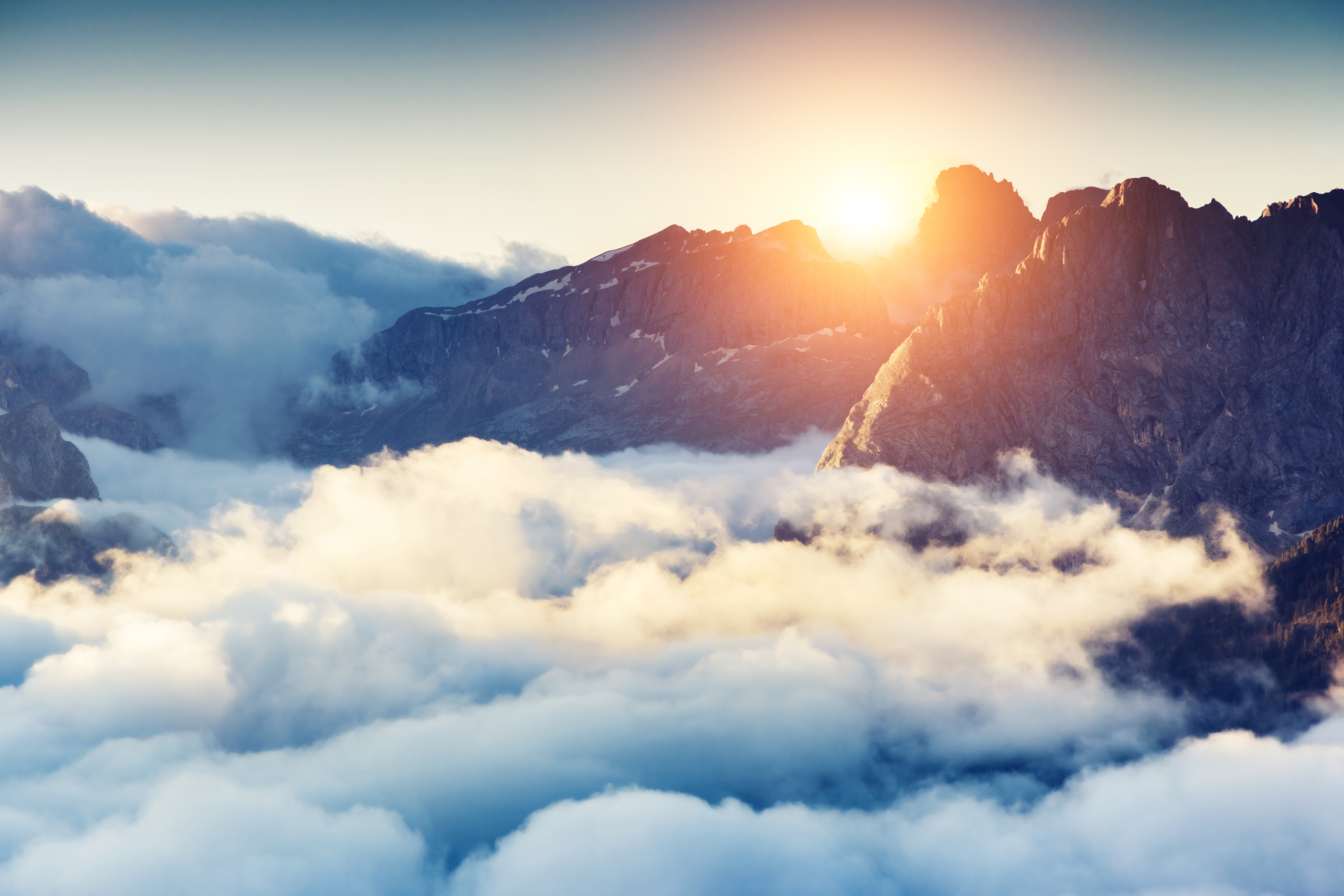 shutterstock_217404238