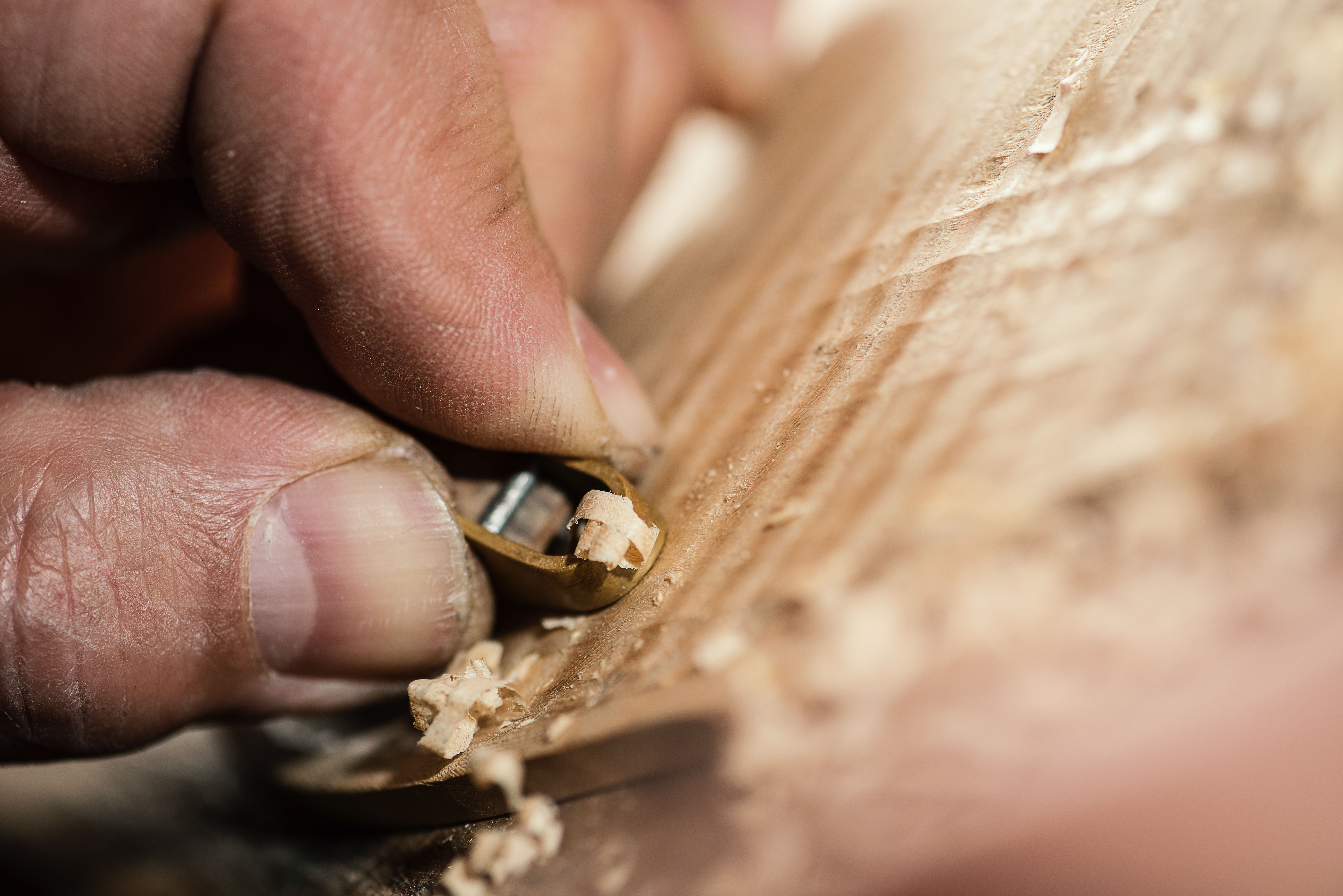 shutterstock_530607655