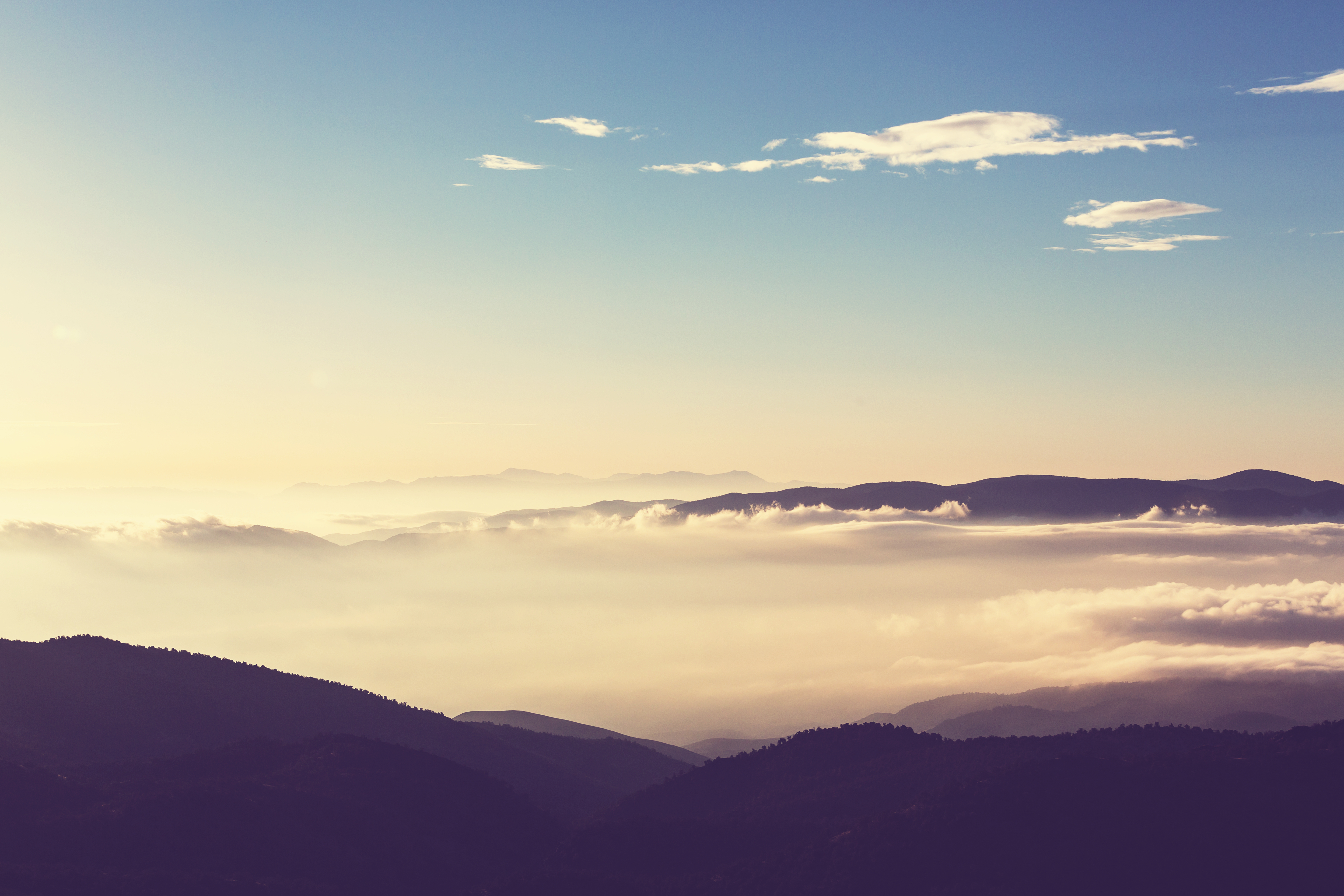 shutterstock_531781465