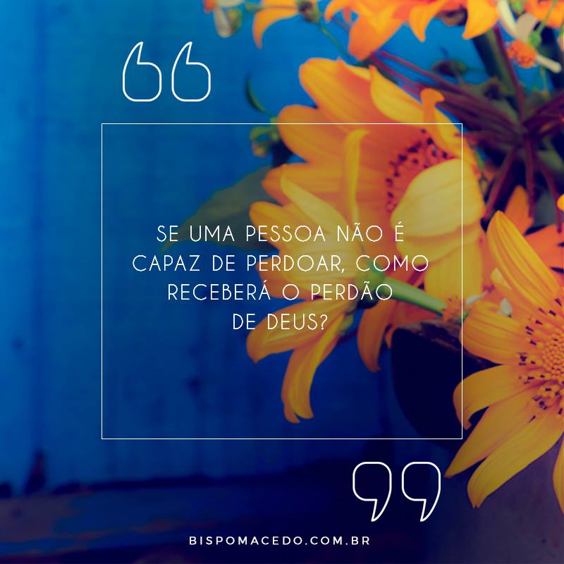 Flores amarelas em um fundo azul