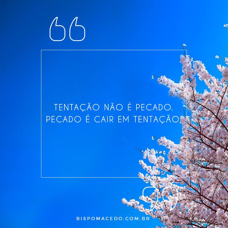 Árvore com flores claras com o céu diurno como fundo