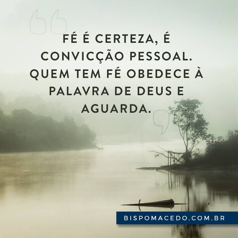 Paisagem de um lago com árvores e neblina