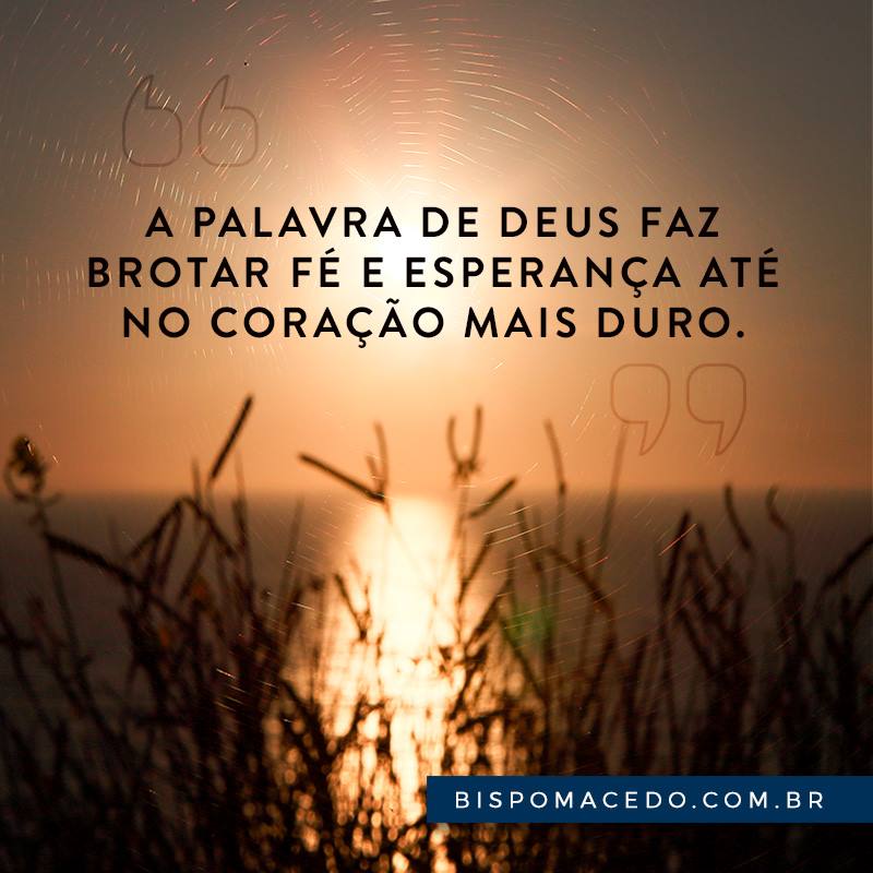 Paisagem com o mar, plantas e o pôr do sol