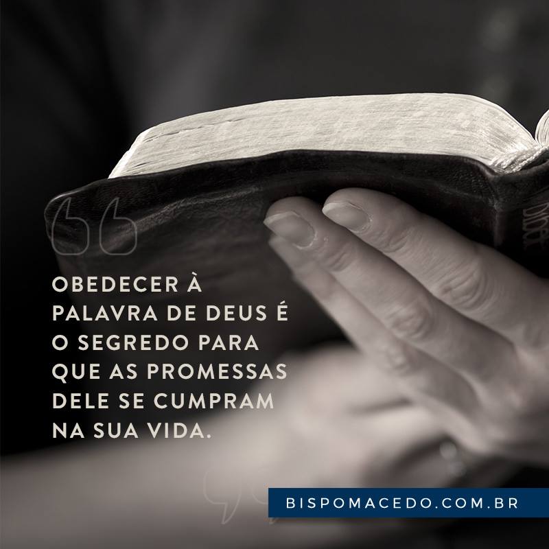 Pessoa meditando na Bíblia Sagrada