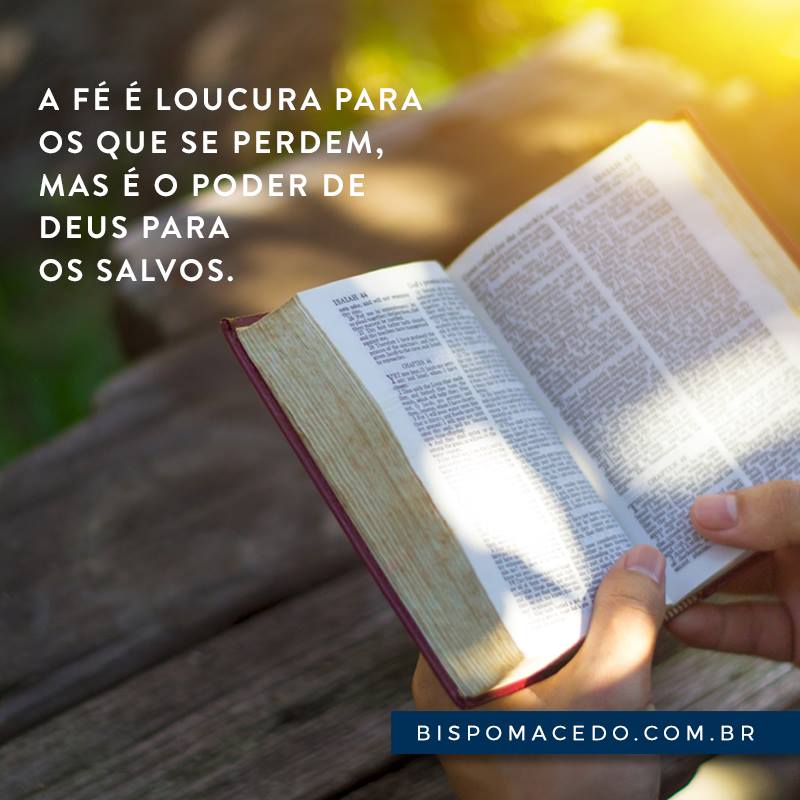 Pessoa meditando na Bíblia Sagrada na natureza