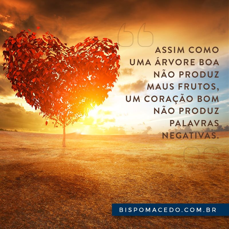 Paisagem com o céu ensolarado, campo e uma árvore com as suas folhas podadas em formato de coração