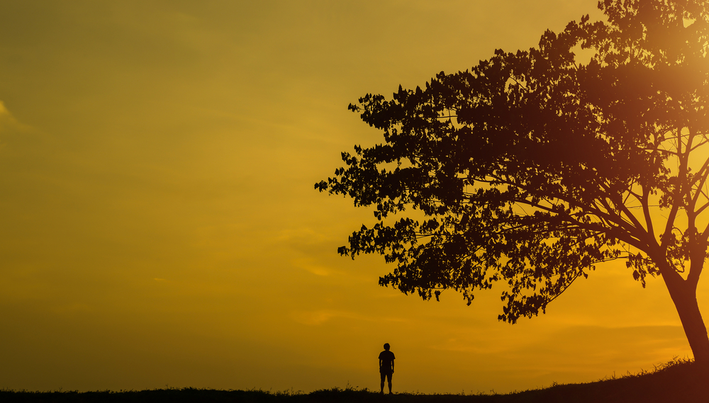 shutterstock_491685373