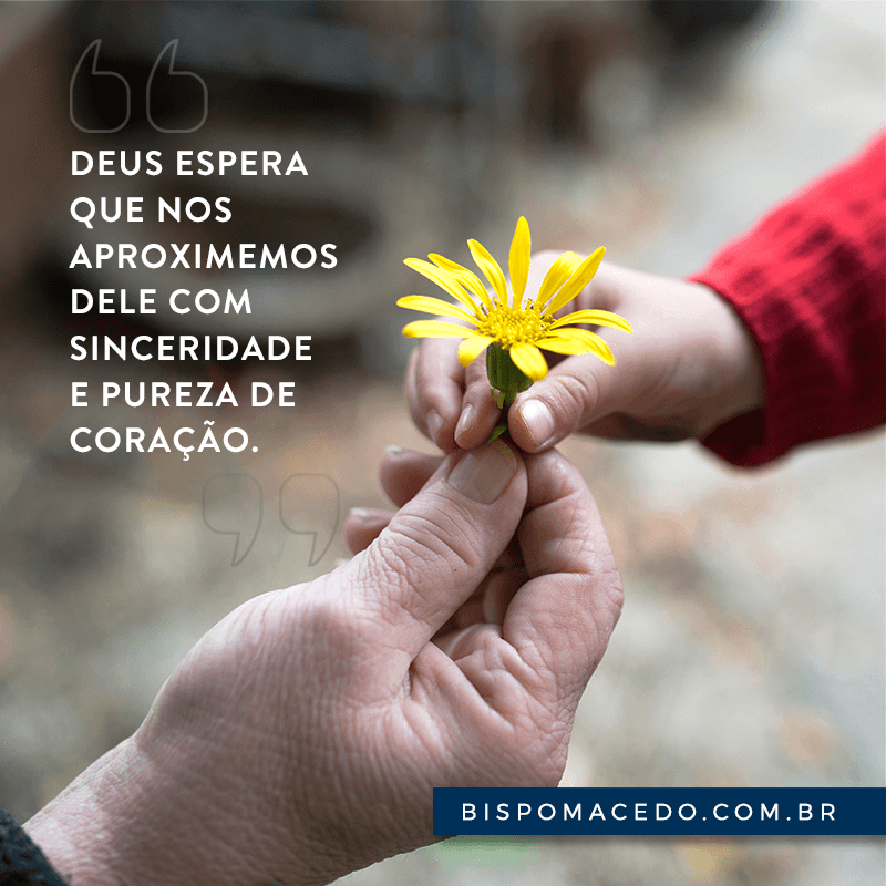 Uma mão idosa e uma mão de criança com uma flor amarela no meio