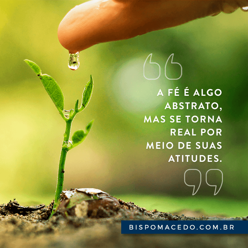 Pessoa colocando uma gota d&#8217;água em um broto