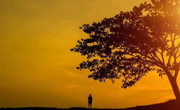 Imagem de capa - Como saber se a minha vontade contraria a de Deus?