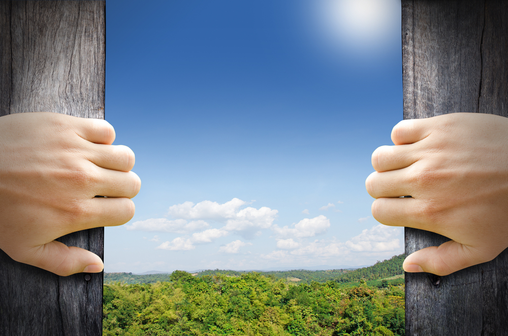 shutterstock_249113971