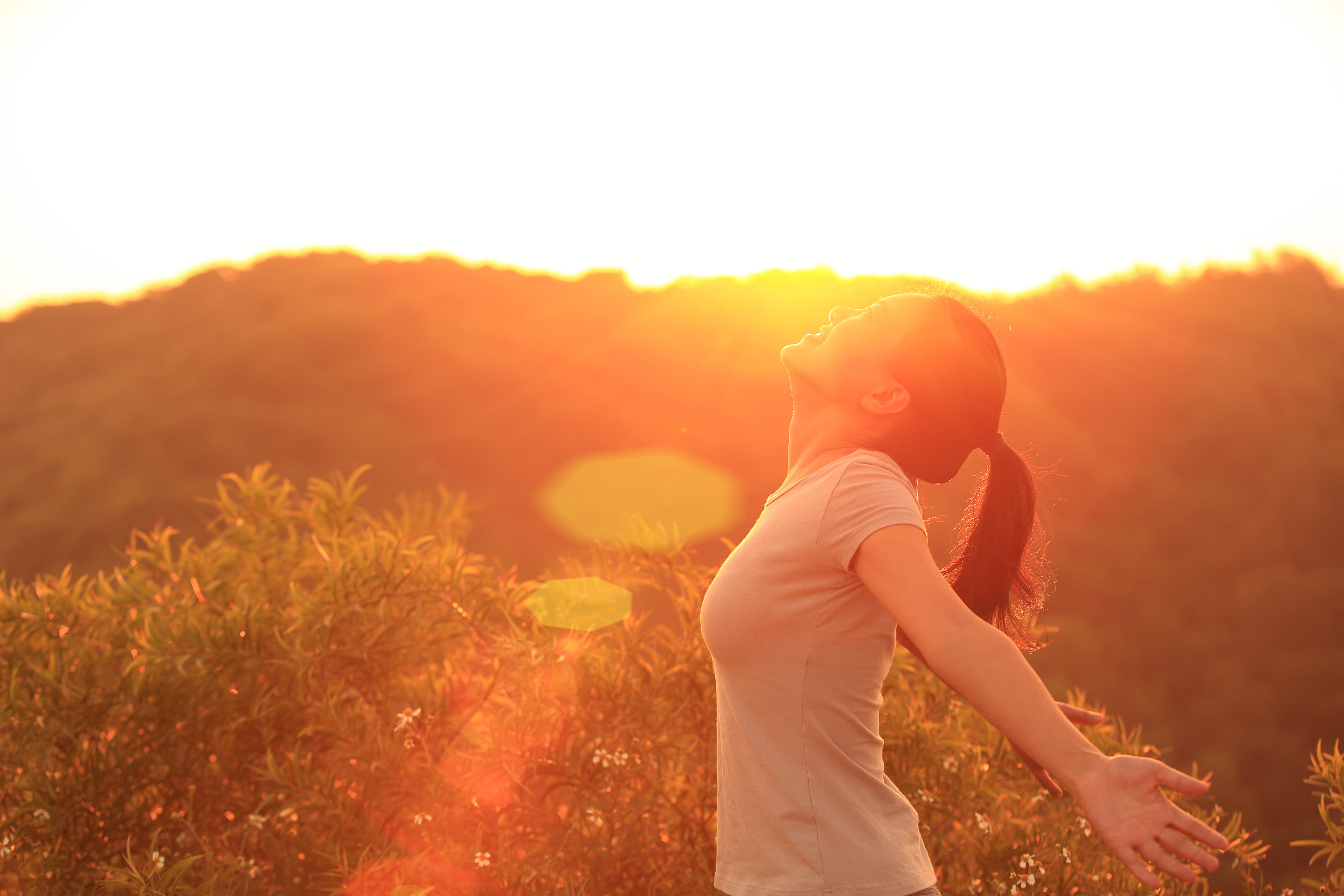 shutterstock_188295800