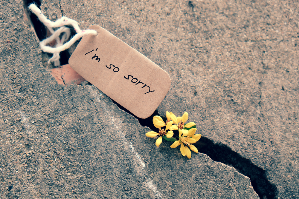 shutterstock_445220761