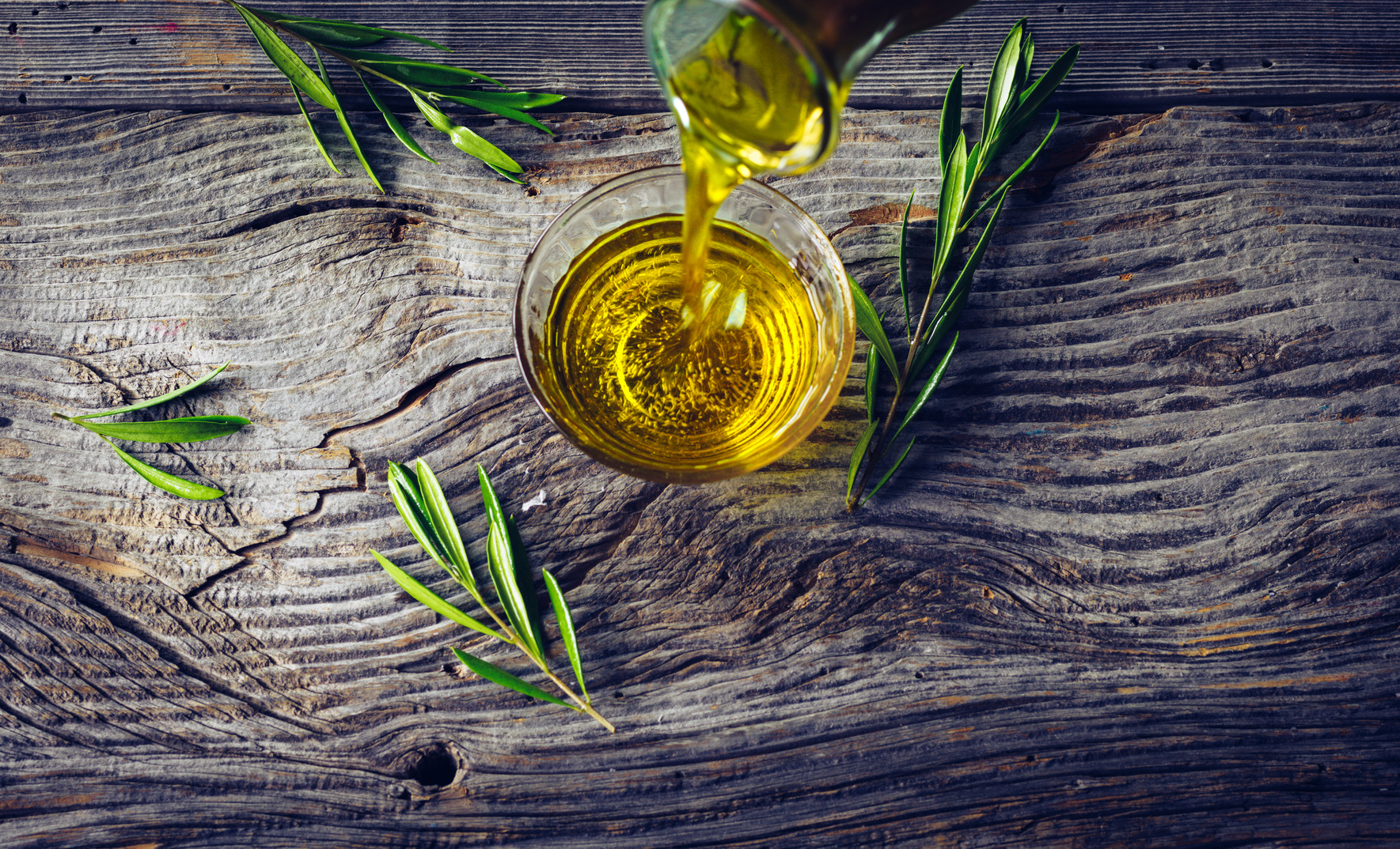 Olive oil with olive twig