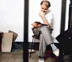 Imagem de capa - Odio selvaggio